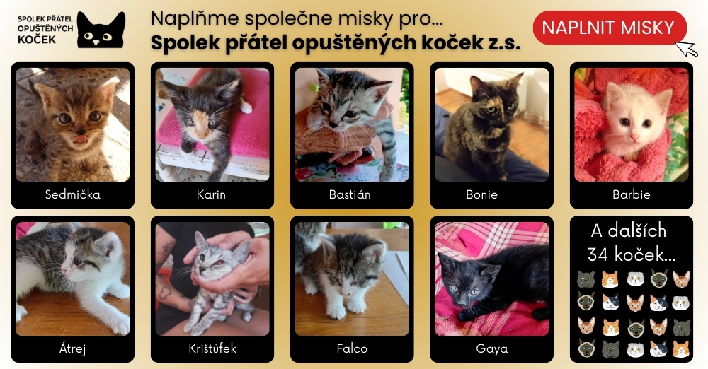 Spolek_pratel